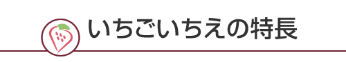 いちごいちえの特長