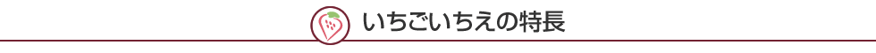 いちごいちえの特長