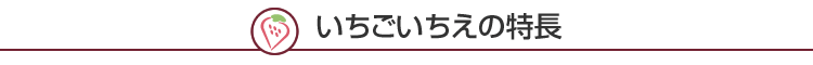 いちごいちえの特長