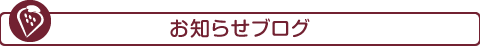 Information Blog　お知らせブログ